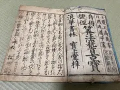 Item thumbnail for item e82cceeb-b9fb-4e0a-9bc6-a7249f7d383e