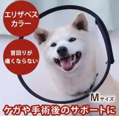 エリザベスカラー Mサイズ 透明 軽量 術後ケアのサムネイル