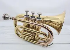 2026年最新】minerva トランペットの人気アイテム - メルカリ