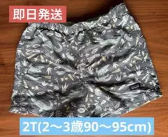 け*ん様 パタゴニア　ベビー・バギーズ・ショーツ 2T(2〜3歳、90〜95cm