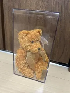 【ケース付き】Ty Beanie Babies Teddy 2002 限定のサムネイル