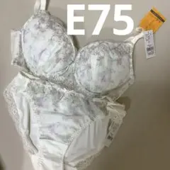 E75 チュチュアンナ　永遠のブラ　ブラショーツセット