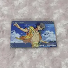 椎名ニキ カードダス