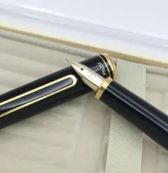 【S】PILOT 万年筆 ペン先 14K 585 ペン軸 ブラック ケース付