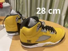 nike AIR JORDAN 5 RETRO 