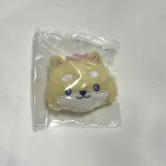 ジェオチャム　JOCHUM シークレットブローチ　まめちぃ　豆原一成