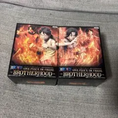 最強ジャンプ☆ONE PIECE 頂上の強者パック応募券 2枚☆/ワンピース