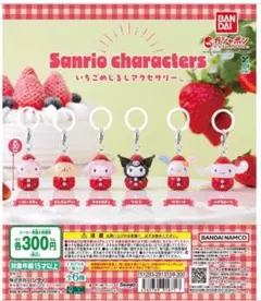 《ま様専用》いちごめじるしシナモロール