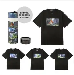 ポケモン　ストレンジパラドックスTシャツ
