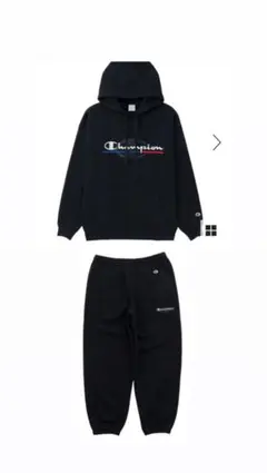 Champion セットアップ