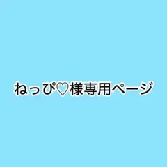 ねっぴ♡様専用ページ