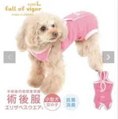 Item thumbnail for item 8c5f5283-82d7-4a8e-8936-4fab998e6643