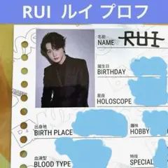 BMSG TRAINEE トレーニー RUI ルイ プロフィール帳