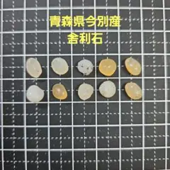 2026年最新】舎利母石の人気アイテム - メルカリ