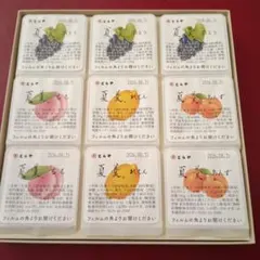 虎屋　夏羹　9個入りのサムネイル