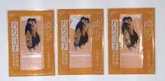 花とゆめ　10・11合併号　暁のヨナ　ハクヨナ　アクリルスタンド　×3個