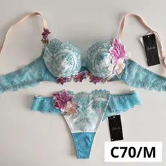 ☆新品 C70 M サルート 06G ブラ＆ソング セット PU - メルカリ