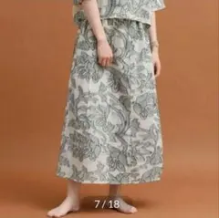 Item thumbnail for item 151bf8fa-5eaf-4c13-b8c2-9c41d9d2743e