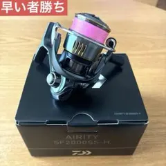 エアリティST SF1000S-P レビテーションエンジニアリングチューン