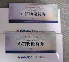 【最新・即日発送可】ヤマダ電機　YAMADA HLDGS　優待券 10000円分