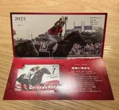 2025年日本ダービー クロワデュノール(コレクション用)