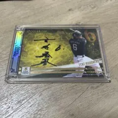 Item thumbnail for item 1c1dfa87-6c23-41d7-8488-acca66a04186