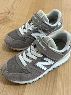 Item thumbnail for item 3c245670-72cf-4467-a375-995f73efeb65