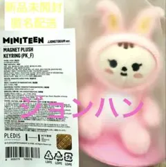 SEVENTEEN MINITEEN JJONGTORAM ぬい★ジョンハン★