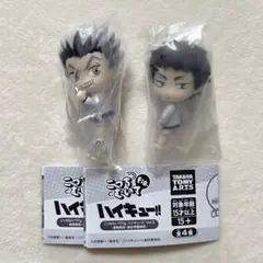 ハイキュー こっちむいて fig 木兎 赤葦