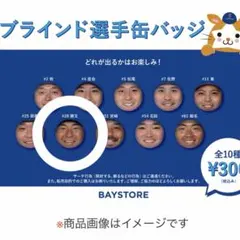 横浜DeNAベイスターズ ブラインド選手缶バッジ 勝又温史