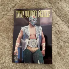 Item thumbnail for item 846af65b-9744-48c0-b8c5-71a763ec1bf2