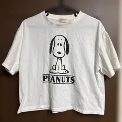 スヌーピー ピーナッツ Tシャツ 半袖 Sサイズのサムネイル