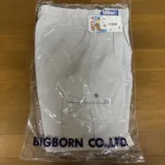 Item thumbnail for item 6426ffb8-0d56-425c-9efb-13c898a941de