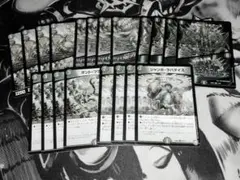 2025年最新】青緑キャベッジの人気アイテム - メルカリ