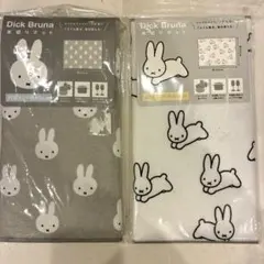 Item thumbnail for item f0cc9327-2b95-4fba-a91f-290ca0234d12