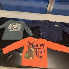 チャンピオン トレーナー 110