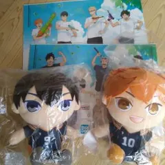 【お値下げ】フリューくじ ハイキュー!! ぬいもっち日向翔陽・影山飛雄 セット