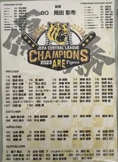 阪神タイガース 2023 セ・リーグ優勝記念 ファブリックパネルのサムネイル