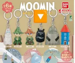 MOOMIN 　ムーミン　めじるしアクセサリー2 　スティンキー