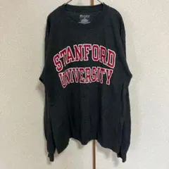 チャンピオン カレッジ柄 クルーネック長袖Tシャツ M チャコールグレー ロンTのサムネイル