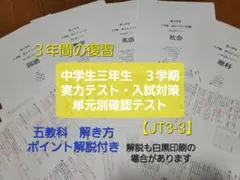 【中学３年生】３学期　５教科実力テスト対策問題(単元別確認テスト)のサムネイル