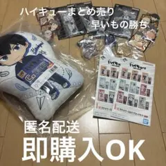 ハイキュー ユース・疑似ユース合宿フェア 缶バッジ ポストカード 国見