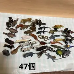 チョコエッグ　まとめ　動物　鳥　海の生き物