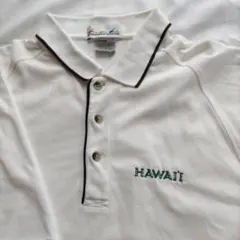 【90s・希少】ハワイ大学 レインボータグ カレッジロゴ 刺繍 ポロシャツのサムネイル