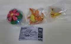 ポケモンカントーいっぱいコレクションプラス