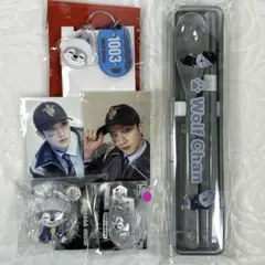 StrayKids SKZOO ガチャ サウナキーリング 他 ウルフチャン