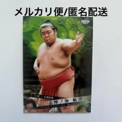 Item thumbnail for item e9de3c38-e92e-4e4c-8f49-35dc5f0f8470