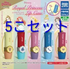ディズニープリンセス　リップケース