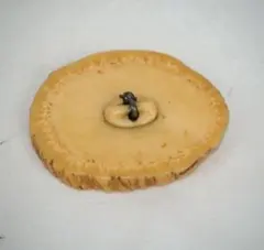 饅頭根付　根付と緒締め　提げ物 2025年最新】Yahoo!オークション -饅頭根付の中古品・新品・未