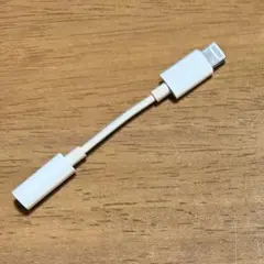 iPhone Lightning 変換アダプタ　純正　正規Apple A1749